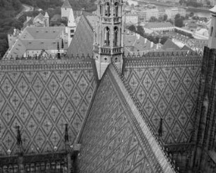 Sankt Veit — Dach