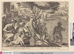 [Wachteljagd mit Wachtelpfeife und Netzen; Quail hunt with quail pipe and net]