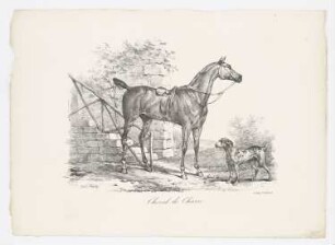 Cheval de Chasse