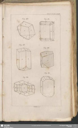 Plate XXXIII