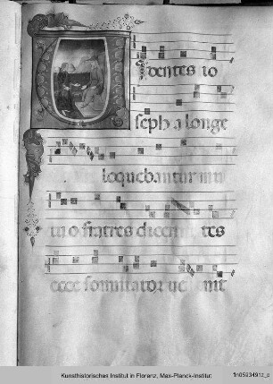 Codex D - Codice D