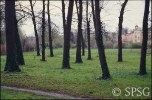 Potsdam.