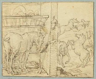Der Maulesel, Nachzeichnung einer Illustration in De warachtighe Fabulen der Dieren. Brügge 1567, S. 159