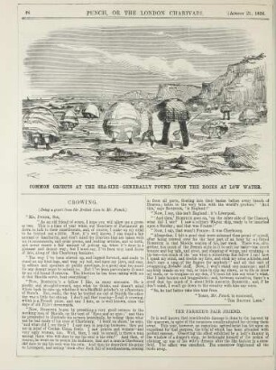 Common objects at the sea-side - generally found upon the rocks at low water