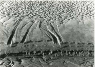 Muster und Strukturen im Sand (Muster und Strukturen 1959/1971)