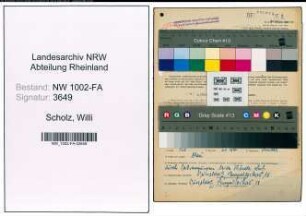 Entnazifizierung Willi Scholz, geb. 08.02.1895 (Mueller)