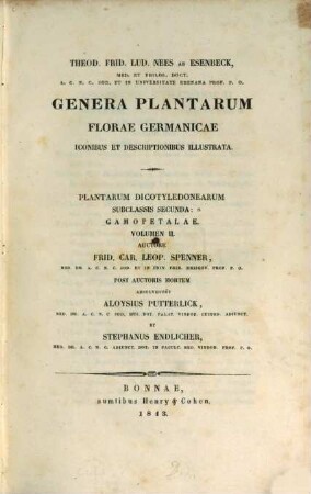 Genera plantarum florae germanicae : iconibus et descriptionibus illustrata, [6]. Plantarum dicotyledonearum Subclassis secunda: Gamopetalae Volumen II