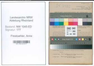 Entnazifizierung Anna Freistuehler , geb. 10.04.1893 (Lehrerin)