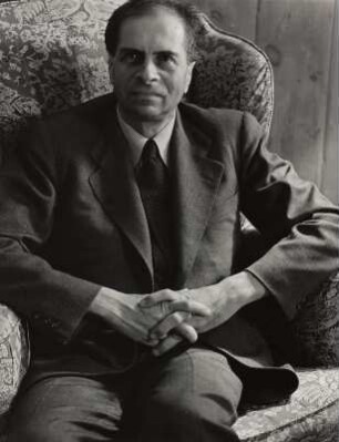 Der Fotograf Ernst Rathenau