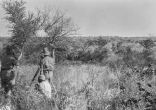Landschaftsaufnahmen : Expeditionsteilnehmer bei Landschaftsaufnahmen im Nationalpark. Im Hintergrund einige Elefanten.