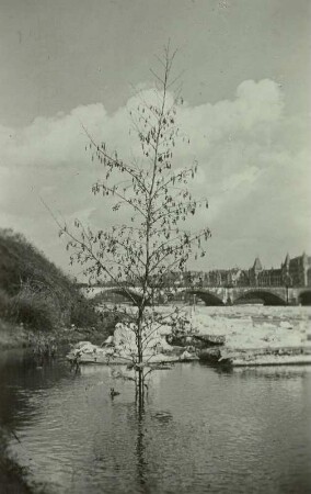 Albertbrücke : Dresden, Elbbrücken im Hochwasser