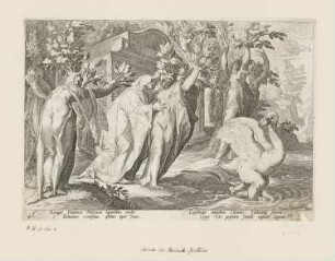 Verwandlung der Schwestern des Phaethon in Pappeln, Blatt 4 der Folge "Ovids Metamorphosen Buch II"