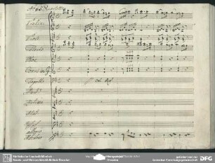 Quartetto: "Al Soave vostro cenno"
