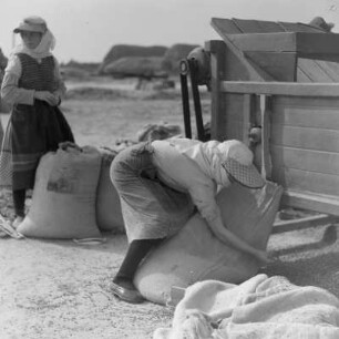 Auf dem Druschplatz der Landwirtschaftlichen Produktionsgenossenschaft „Georgi Dimitroff“ in Razhevo Konare