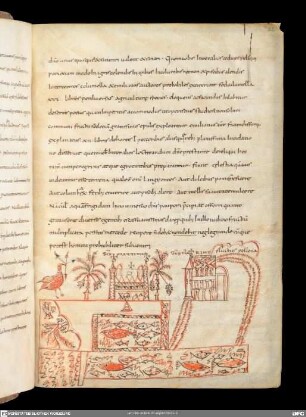 Cassiodorus - Pseudo-Augustinus - Bonifatius - Isidorus Hispalensis