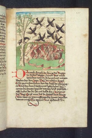 Die Raben legen Feuer vor der Höhle der Aare; (Kapitel V: Von den Raben und den Aaren).