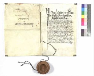 Notariatsinstrument über die Eisetzung des Klosters Wiblingen in Unterweiler und Huldigung der Untertanen