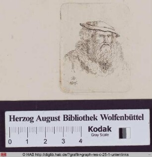 Männliches Brustbildnis mit Barett und Pelzkragen.