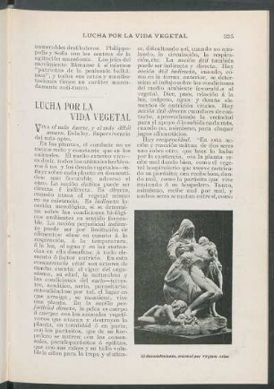 Lucha por la vida vegetal.