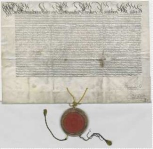 Kaiser Ferdinand II. erneuert und bestätigt das Privileg Kaiser Ferdinands von 1538 Juli 20 für die Stadt Lüneburg. Eigenhändige Unterschrift.