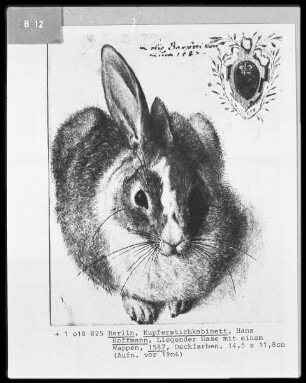 Liegender Hase mit einem Wappen