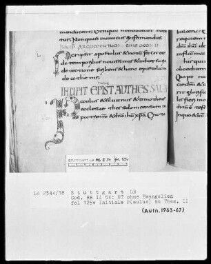 Bibliorum pars finalis, Pauli epistolae, Actus apostolorum, Epistolae canonicae, Apocalypsis — Initiale P(aulus), Folio 125verso