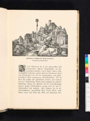 Nürnberg zu Beginn der Reformatonszeit. (Kupferstich von Albrecht Dürer.)