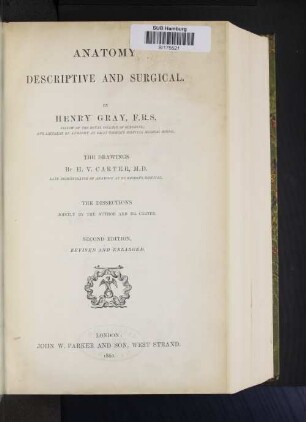 Anatomy descriptive and surgical