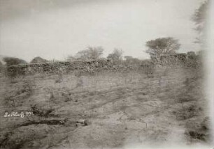 Iringa