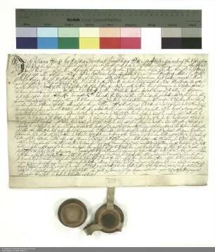 Revers Johann Höckes bezüglich der Belehnung mit der Wüstung Niedlingen durch Adalbert [von Schleifras], Abt von Fulda