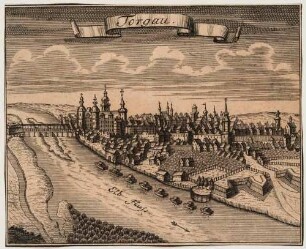 Stadtansicht von Torgau im Norden Sachsens über Elbe mit der Umgebung