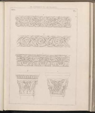 Abbildungen zu Heft II. [Pl. 1 - 8]