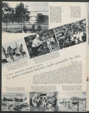 La guerra moderna tampoco pudo prescindir de ellos : El perro: Insustituible auxiliar del ejercito