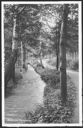 Oberschlema. Floßgraben