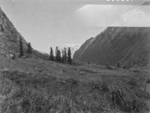Tal : Ein Tal im Tian Shan Hochgebirge