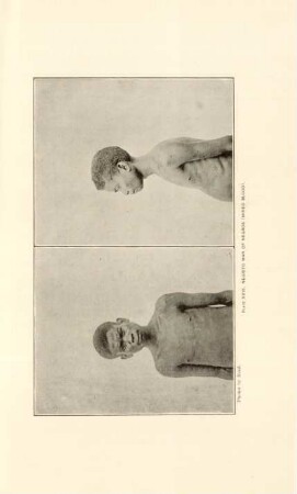 Plate XXVI. Negrito man of Negros (Mixed blood)