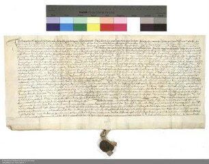 Revers Georgs von Buchenau zu Buchenau bezüglich der Belehnung mit dem Schloss Buchenau und weiteren im Einzelnen aufgeführten Lehen durch Wolfgang [Schutzbar gen. Milchling], Abt von Fulda