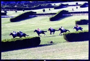 Meran (Südtirol, Italien): Galopp-Hindernis Rennen