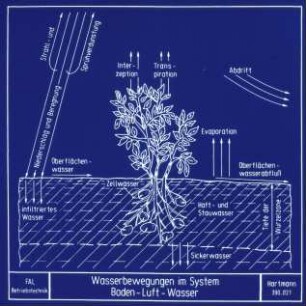 Wasserbewegungen im System Boden-Luft-Wasser