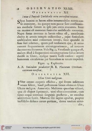 Observatio XII