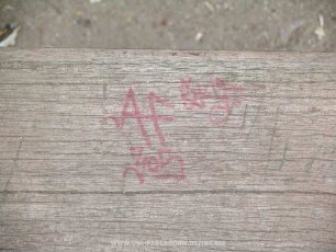 AF 305 SKiP