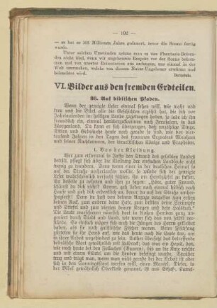 VI. Bilder aus den fremden Erdteilen