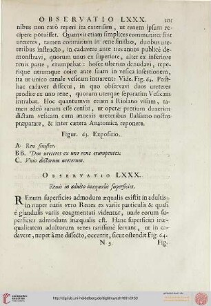 Observatio LXXX