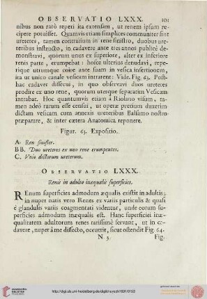 Observatio LXXX