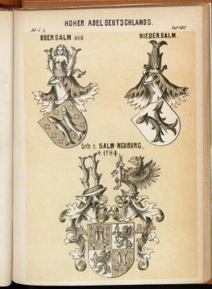 Taf. 192. Obersalm and. - Niedersalm. - Grfn z. Salm-Neuburg, †. 1784.