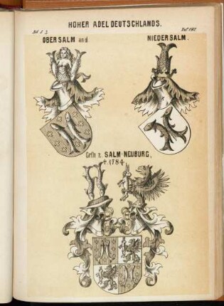 Taf. 192. Obersalm and. - Niedersalm. - Grfn z. Salm-Neuburg, †. 1784.