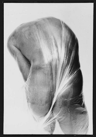 Torso, 1-fach in Folie