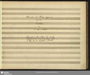 Andante e Rondo ungarese [J 79]