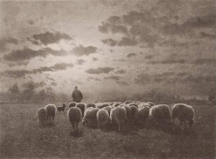 Au coucher du soleil