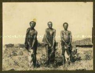 Drei Afrikaner mit Ziegen